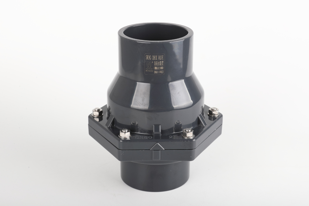 赣榆翻板式止回阀