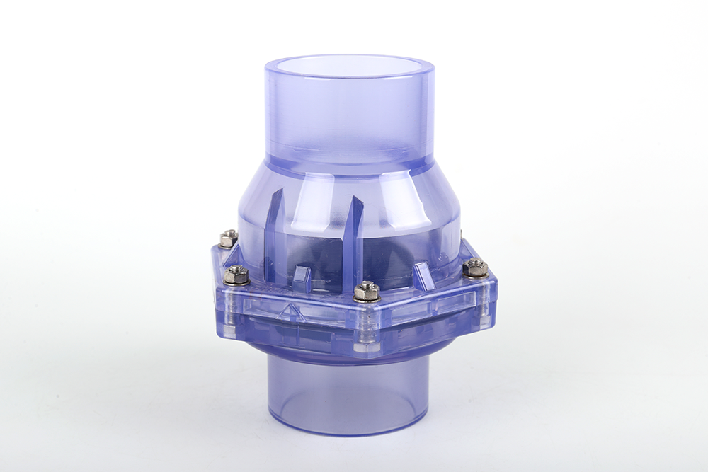 赣榆透明翻板式止回阀